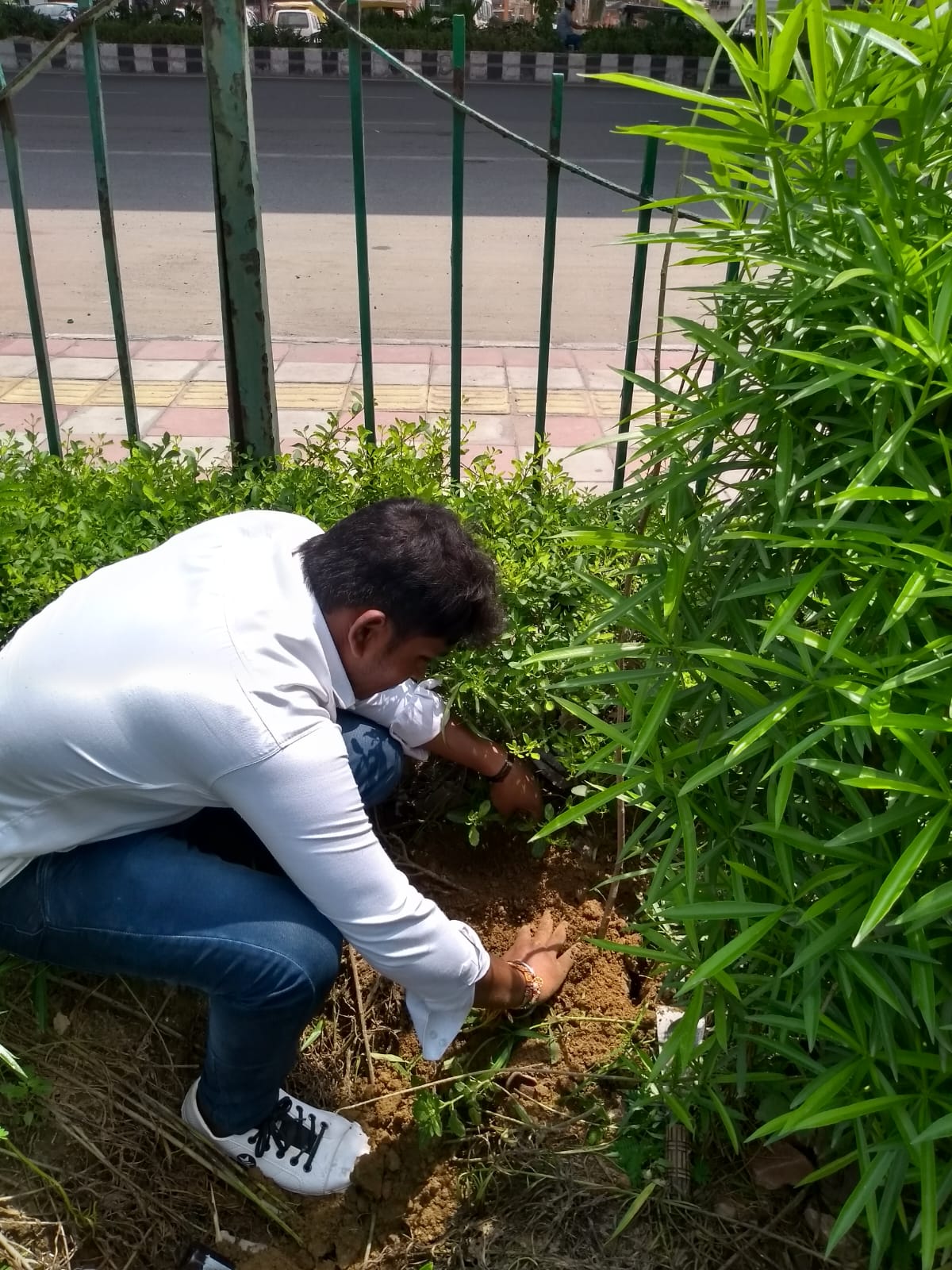 WhatsApp Image 2026-02-10 at 10.58.58 (1)