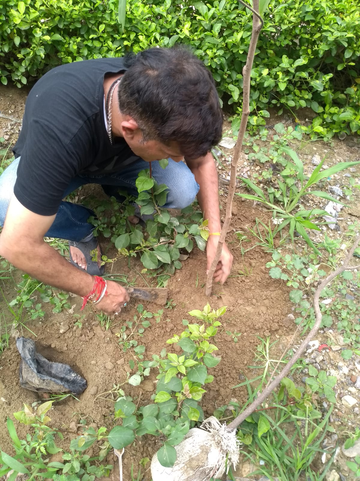 WhatsApp Image 2026-02-10 at 10.58.59