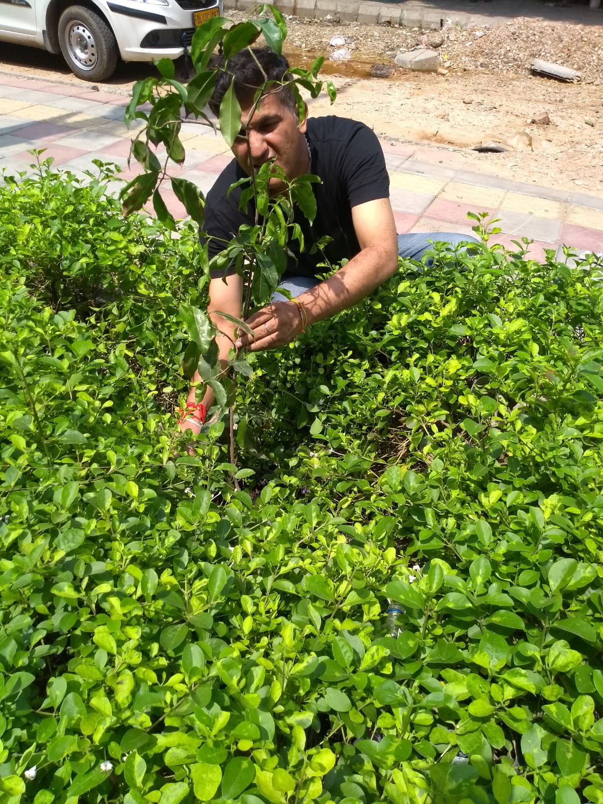 WhatsApp Image 2026-02-10 at 10.59.00 (1)