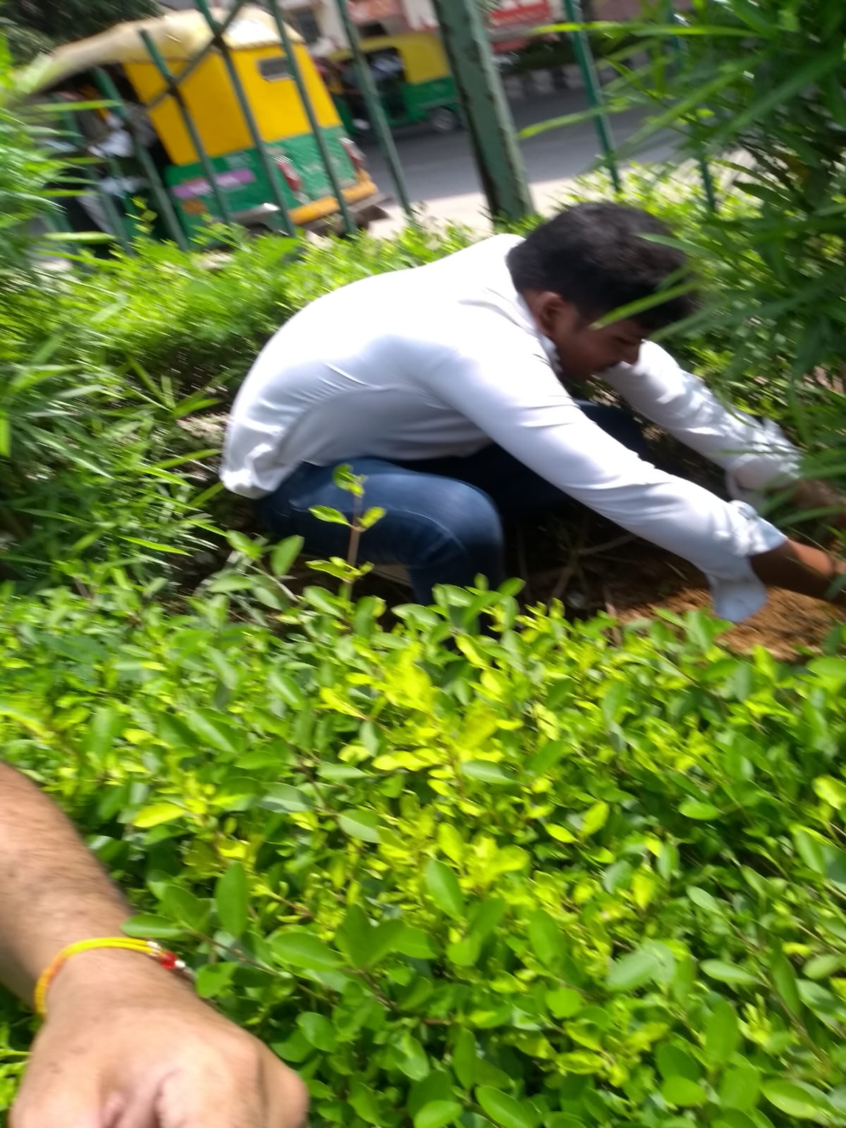 WhatsApp Image 2026-02-10 at 10.59.03