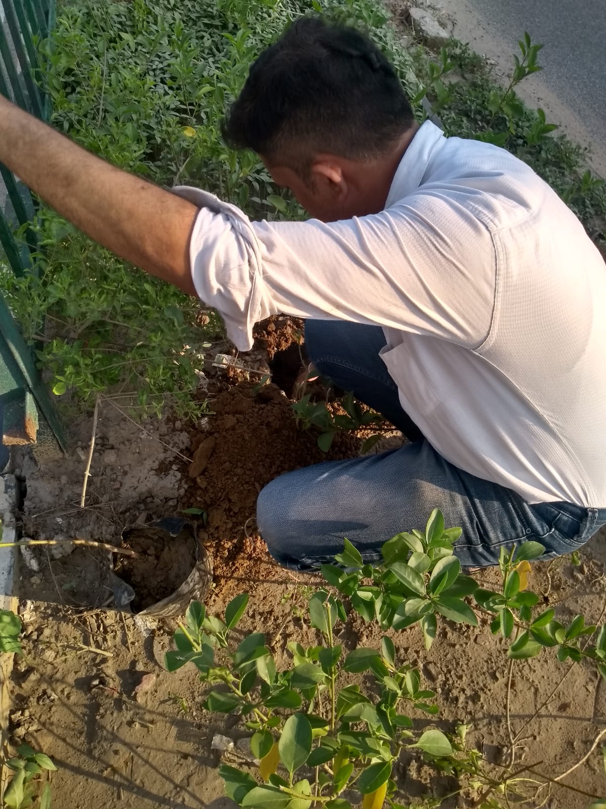 WhatsApp Image 2026-02-10 at 10.59.06