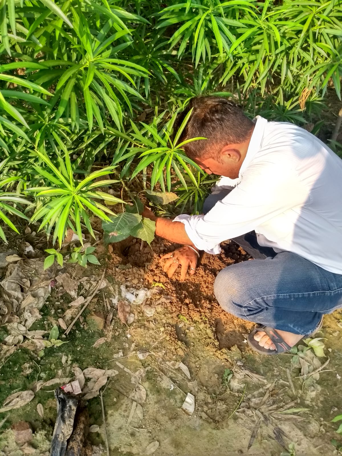 WhatsApp Image 2026-02-10 at 10.59.07